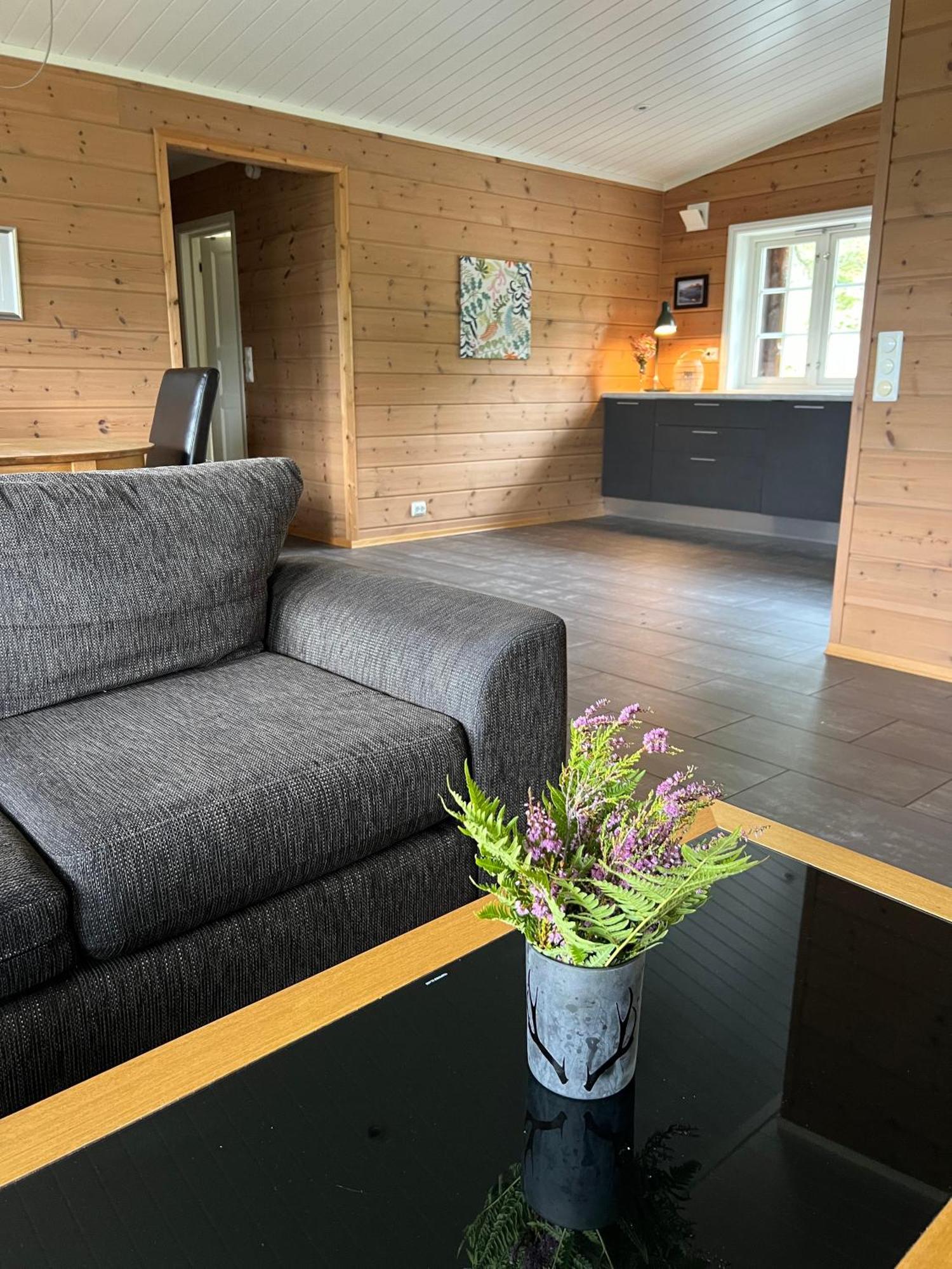 Hydlahytta Stryn Villa Dış mekan fotoğraf